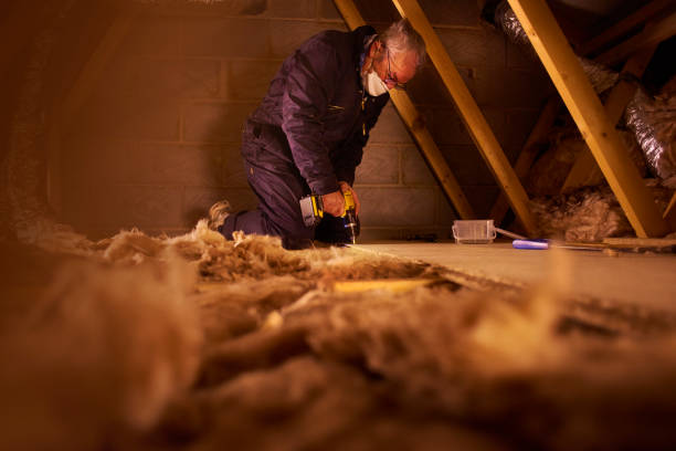 Best Cellulose Insulation in Quail Creek, TX